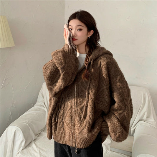 Oversized Brown Pattern Sweater Women's